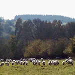 Am Klosterberg 6 公寓 *